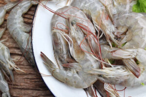 listing-img-662 -shrimp-5